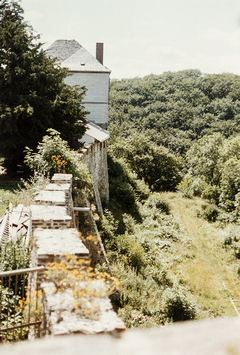 Vorschaubild Burg Falkenstein, Harz (Foto 1990)